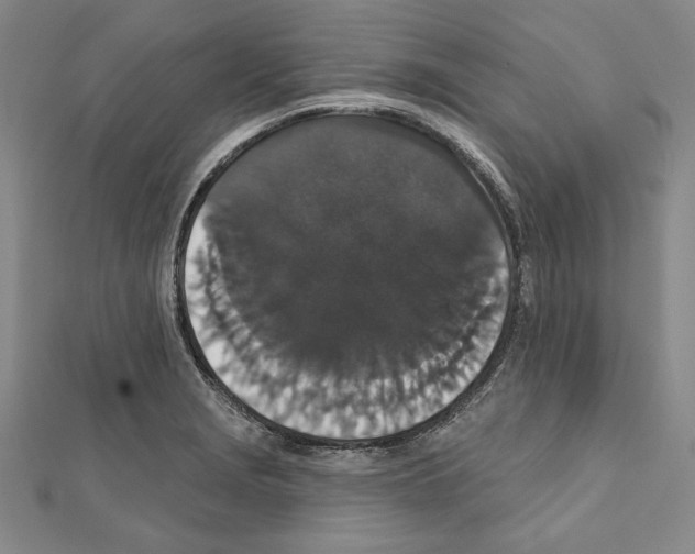 X0000111591229200908271002