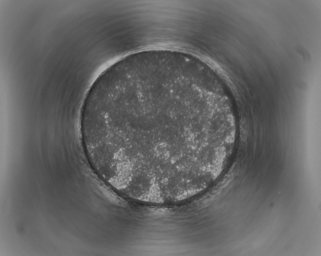 X0000111591230200908271002