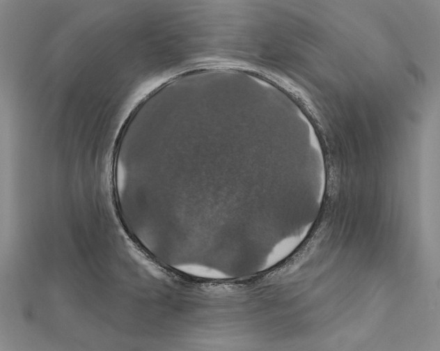 X0000111591231200908271002
