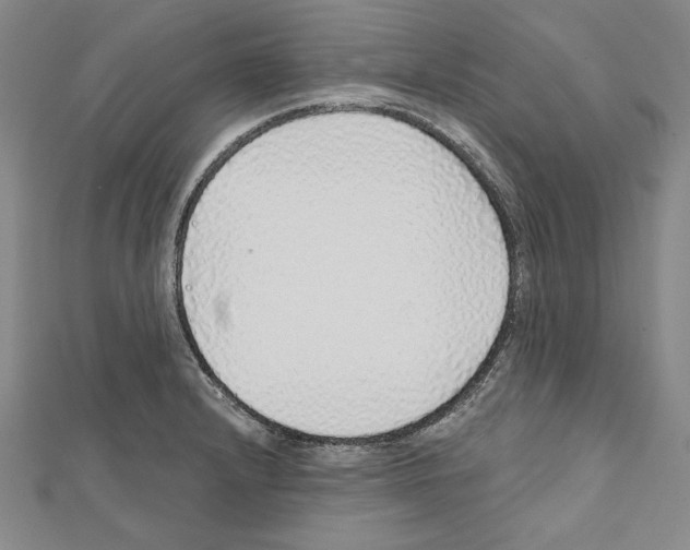 X0000111591232200908271002