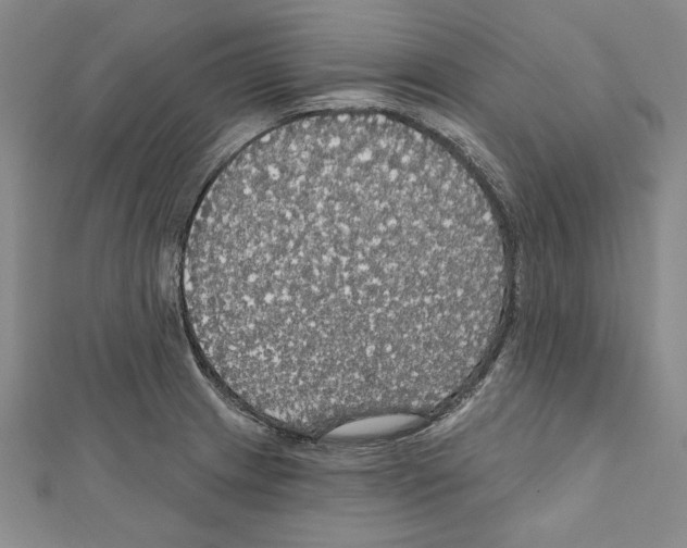 X0000111591233200908271002