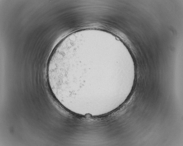 X0000111591234200908271002