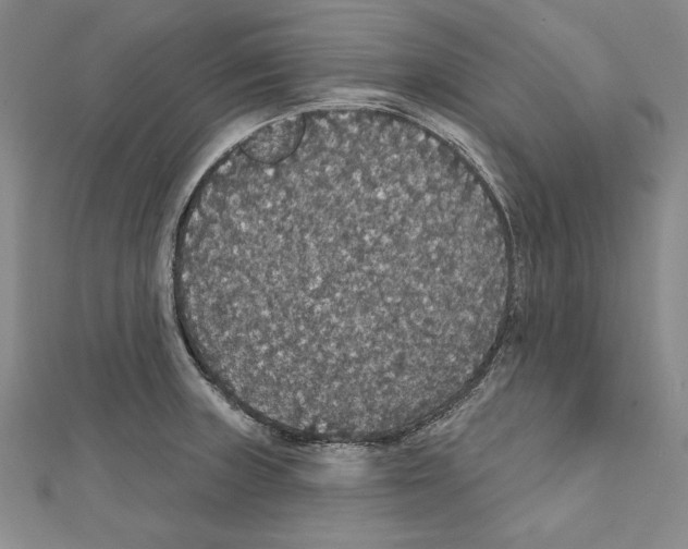 X0000111591235200908271002