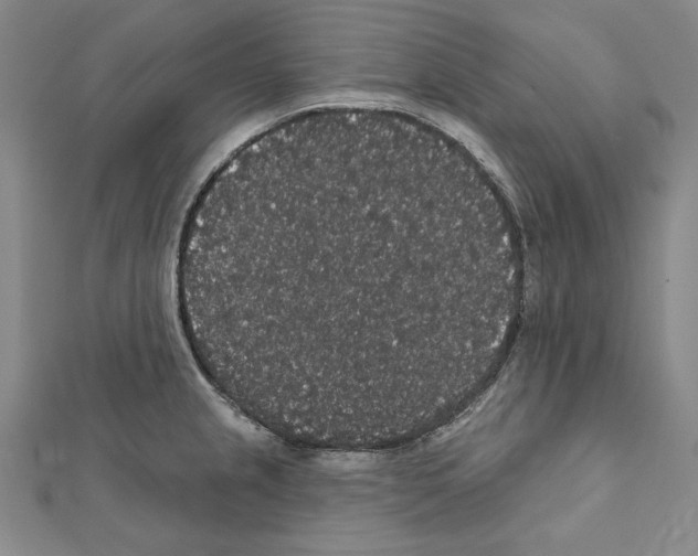 X0000111591237200908271002