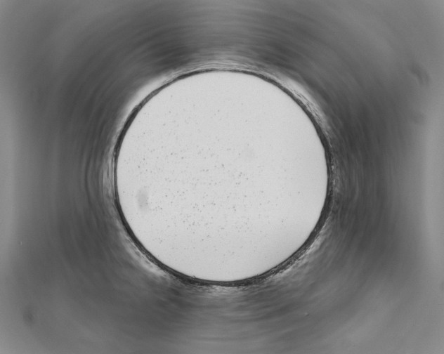 X0000111591238200908271002