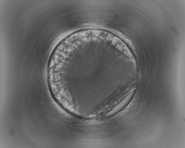 X0000111591239200908271002