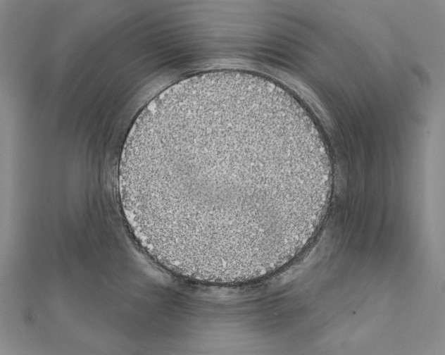 X0000111591241200908271002