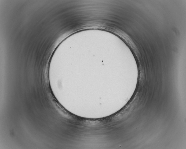 X0000111591242200908271002
