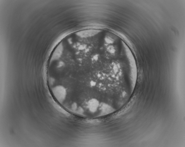 X0000111591243200908271002