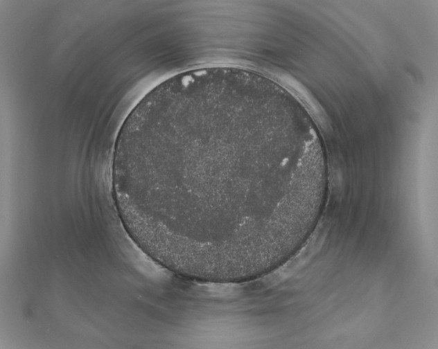 X0000111591244200908271002
