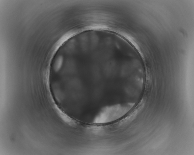 X0000111591245200908271002
