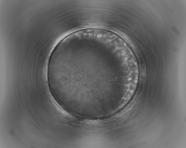 X0000111591246200908271002
