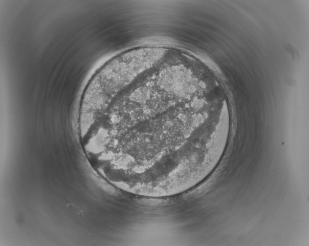 X0000111591248200908271002