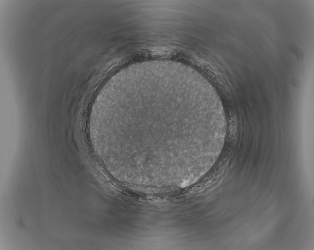 X0000111591249200908271001