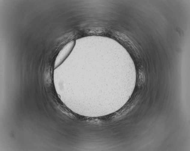 X0000111591250200908271001