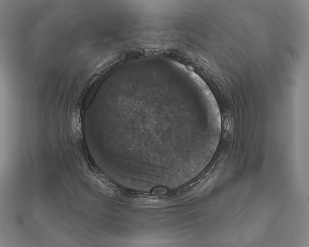 X0000111591252200908271001