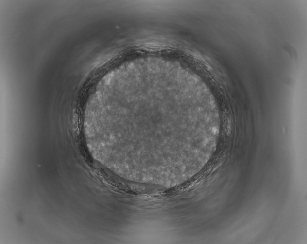 X0000111591253200908271001