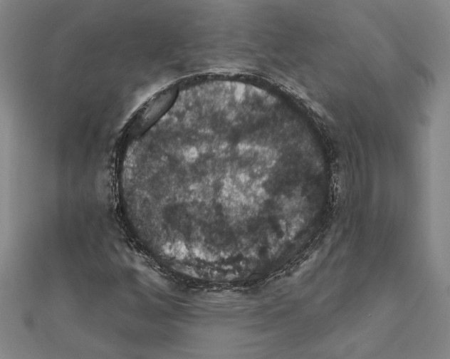 X0000111591256200908271001