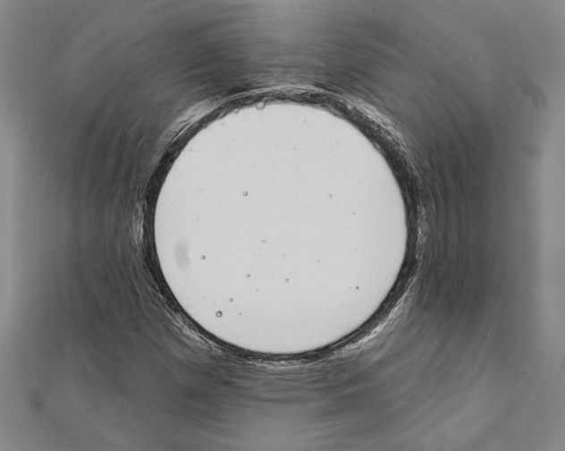 X0000111591257200908271001