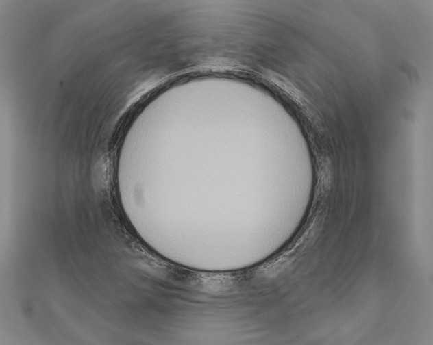 X0000111591258200908271001