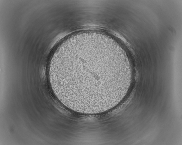 X0000111591259200908271001
