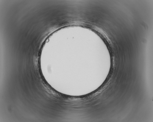 X0000111591260200908271001