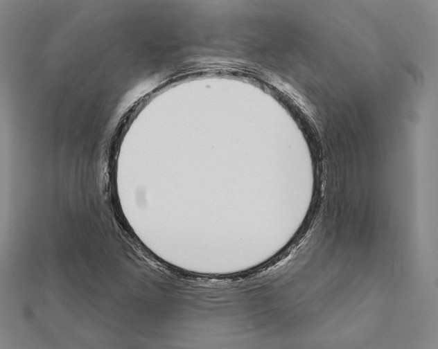 X0000111591261200908271001