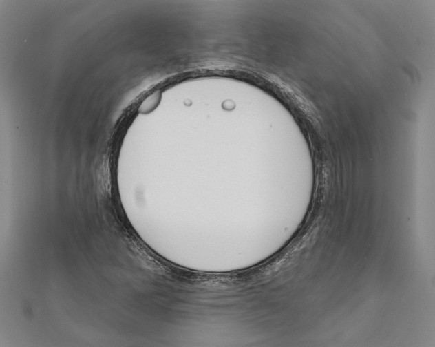 X0000111591262200908271001