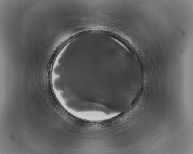 X0000111591263200908271001