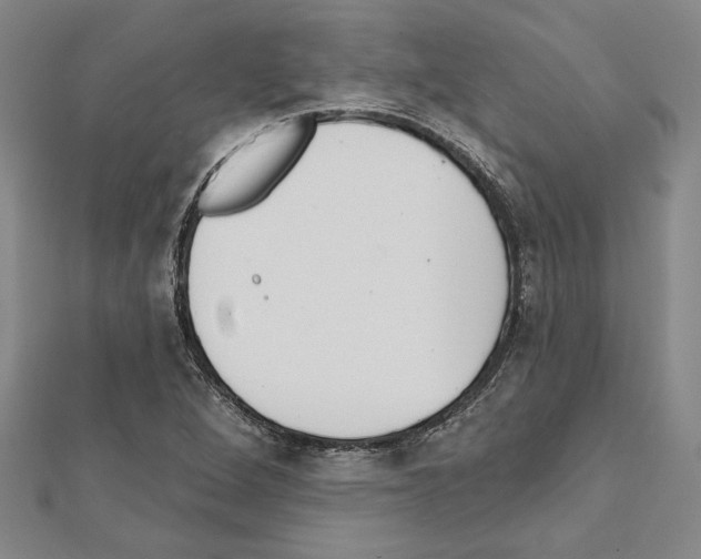 X0000111591264200908271001
