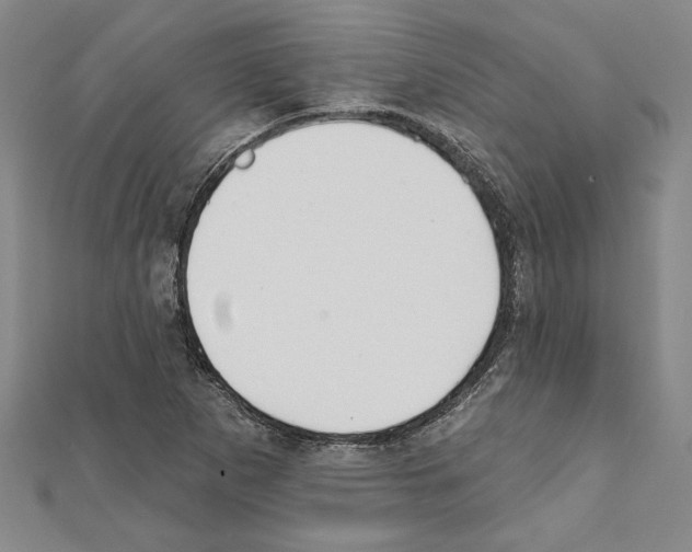 X0000111591265200908271001
