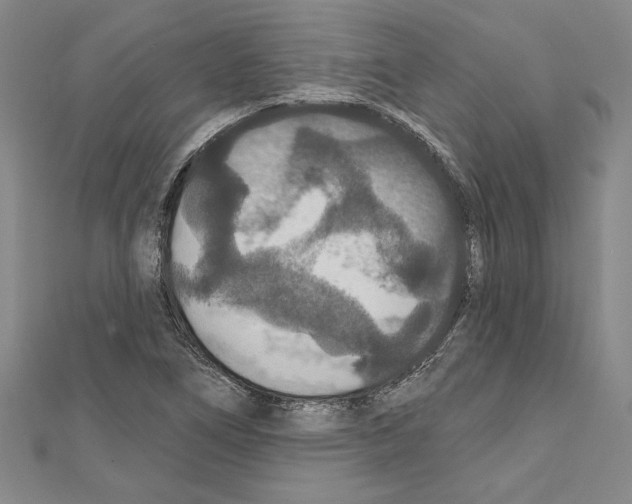 X0000111591266200908271001
