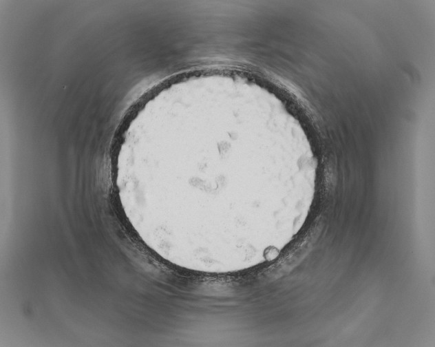 X0000111591267200908271001