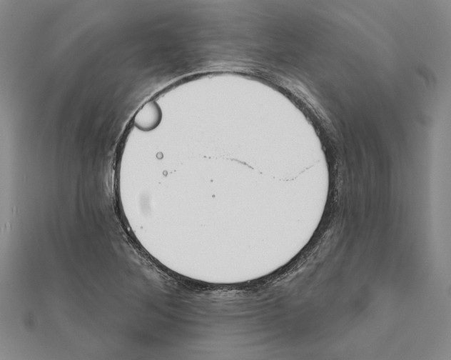 X0000111591268200908271001