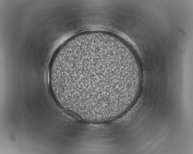 X0000111591269200908271001