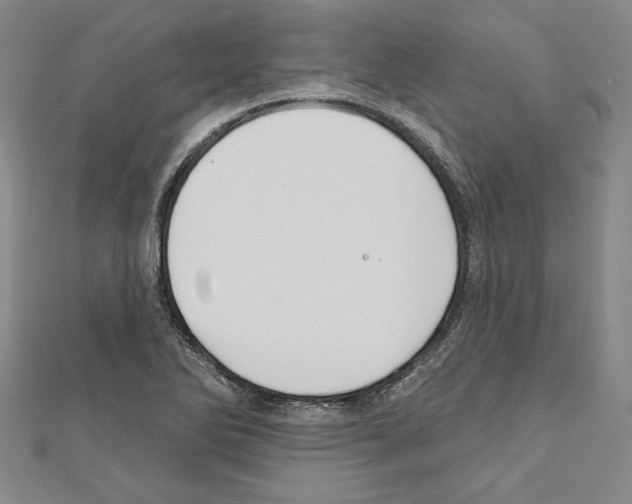 X0000111591270200908271001