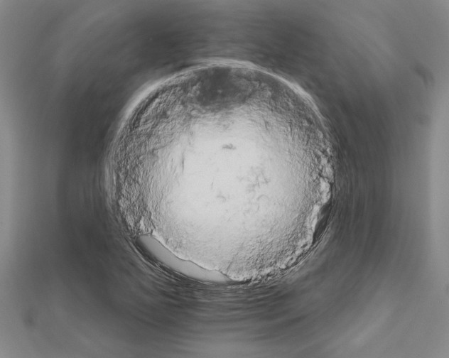 X0000111591271200908271001