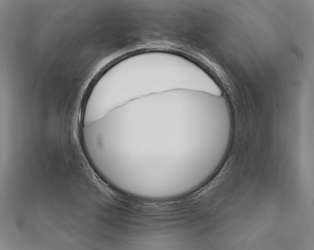 X0000111591272200908271001