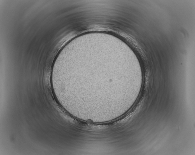X0000111591273200908271001