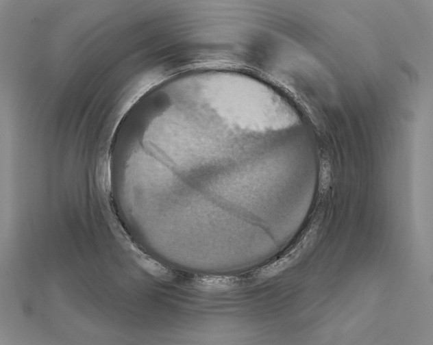 X0000111591274200908271001