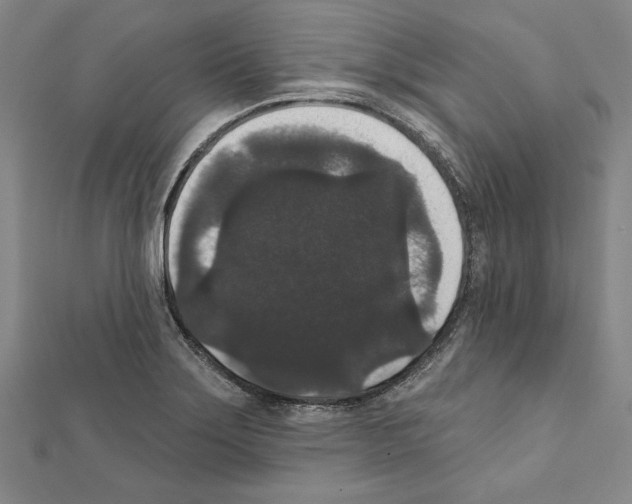 X0000111591275200908271001