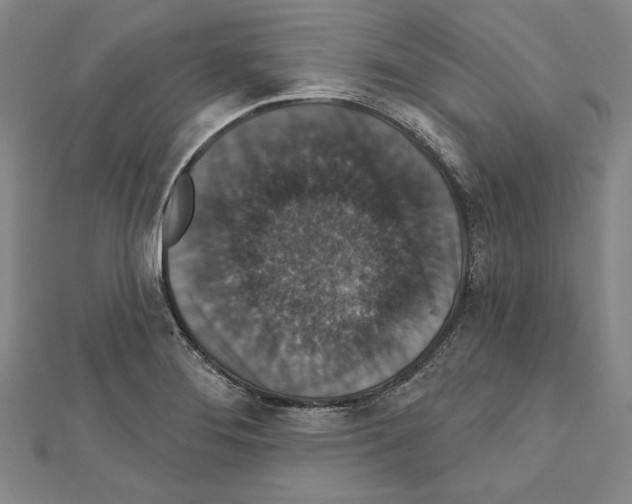 X0000111591276200908271001