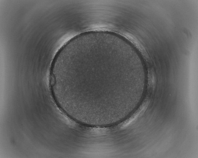 X0000111591277200908271001