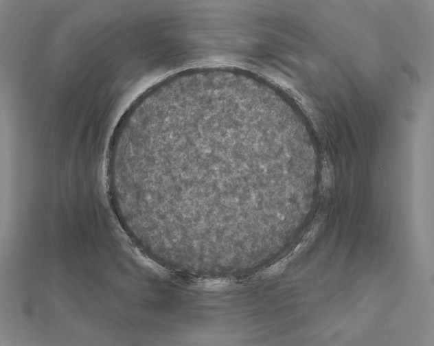 X0000111591278200908271001
