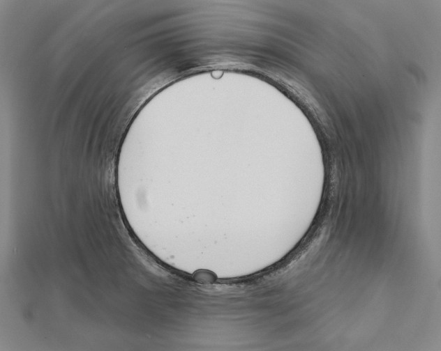 X0000111591281200908271001