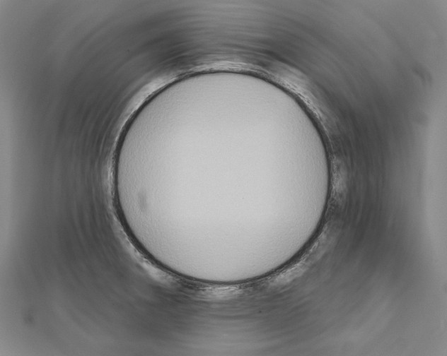 X0000111591282200908271001
