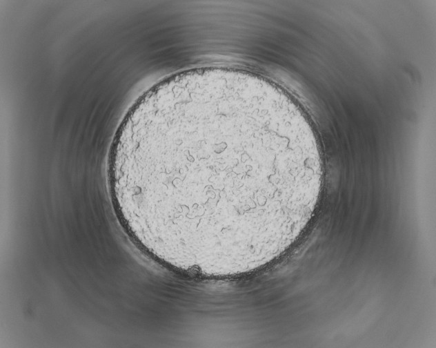 X0000111591283200908271001
