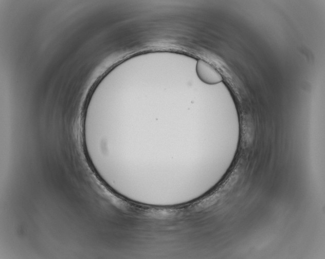 X0000111591286200908271001