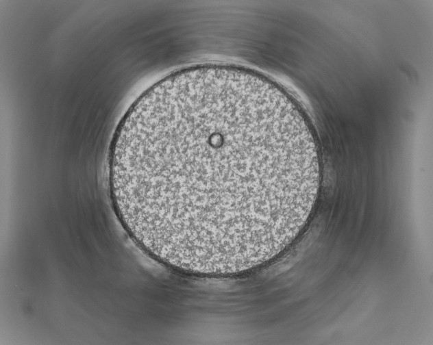 X0000111591287200908271001