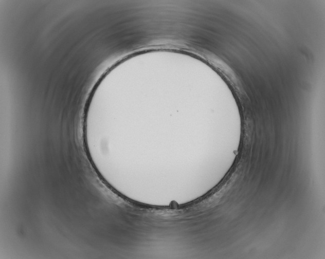X0000111591288200908271001